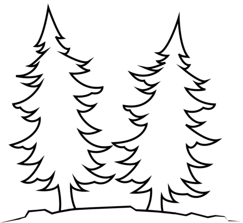 Conifer Trees Coloring Page